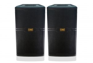 Loa Karaoke CAVS CS-301E