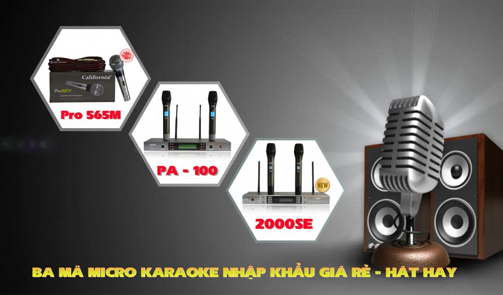 micro karaoke hay