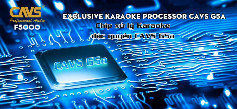 Chip xử lý âm thanh độc quyền của CAVS 