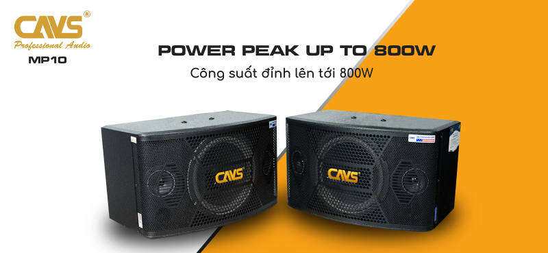 Loa Karaoke CAVS MP10