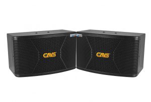 Loa Karaoke CAVS CX10 Plus