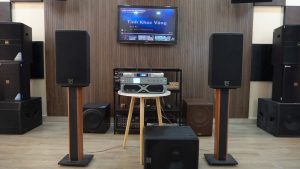 Dàn Karaoke nhập khẩu cao cấp Martin Audio – CAVS
