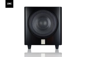 Loa Subwoofer CAVS TLS12