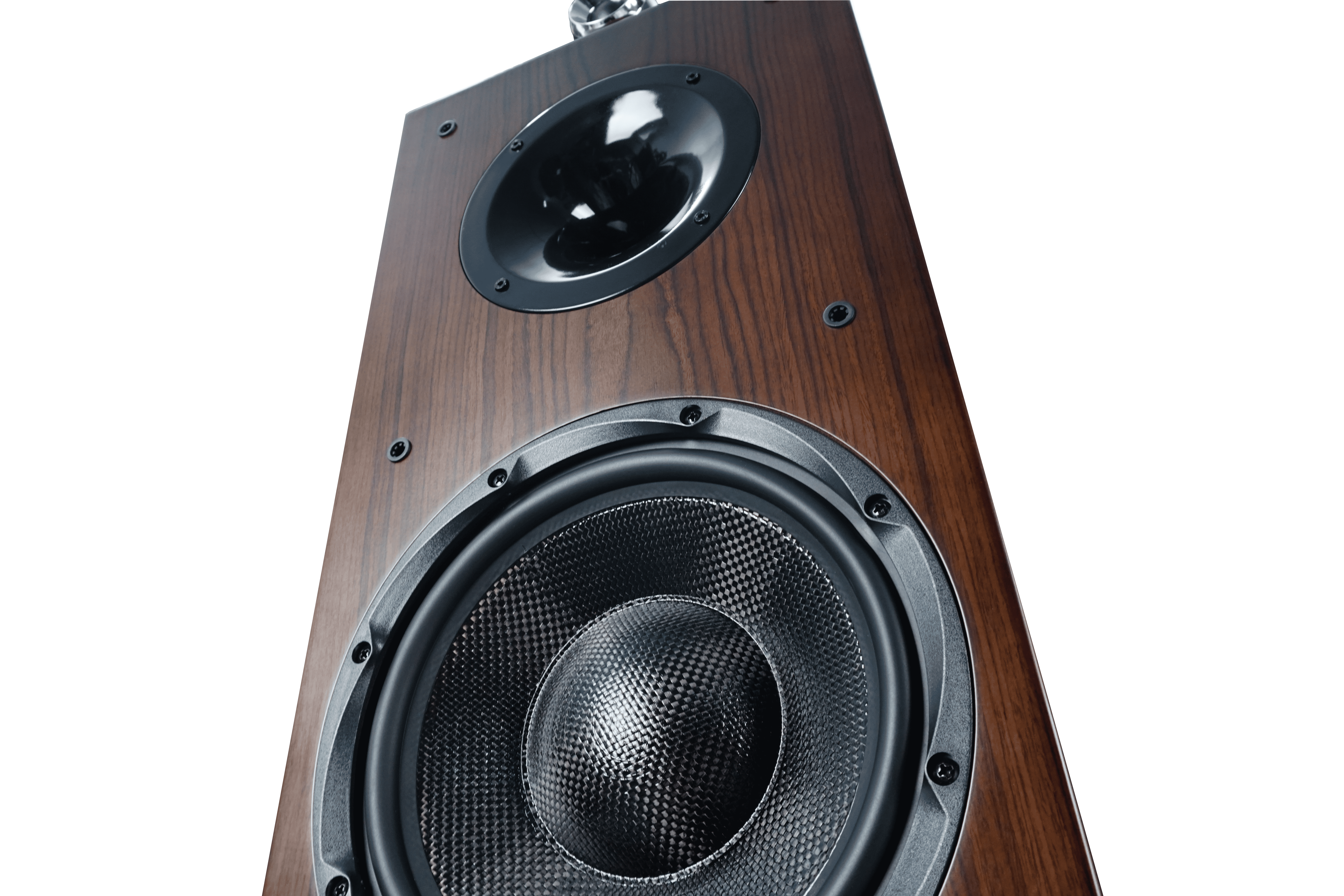 Loa Hi-Fi CAVS TL210