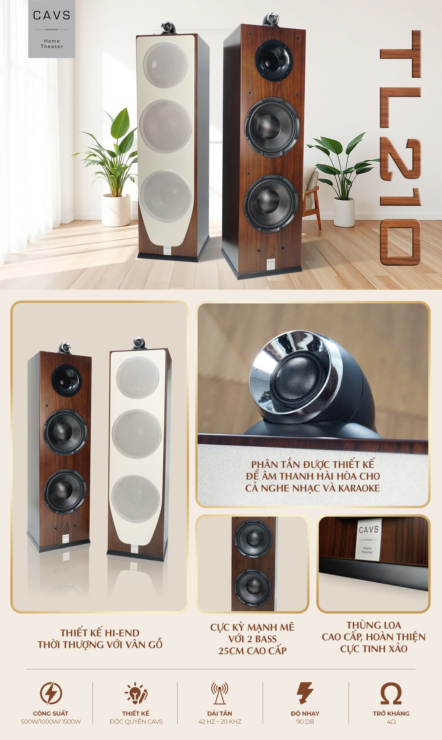 Loa Hi-Fi CAVS TL210