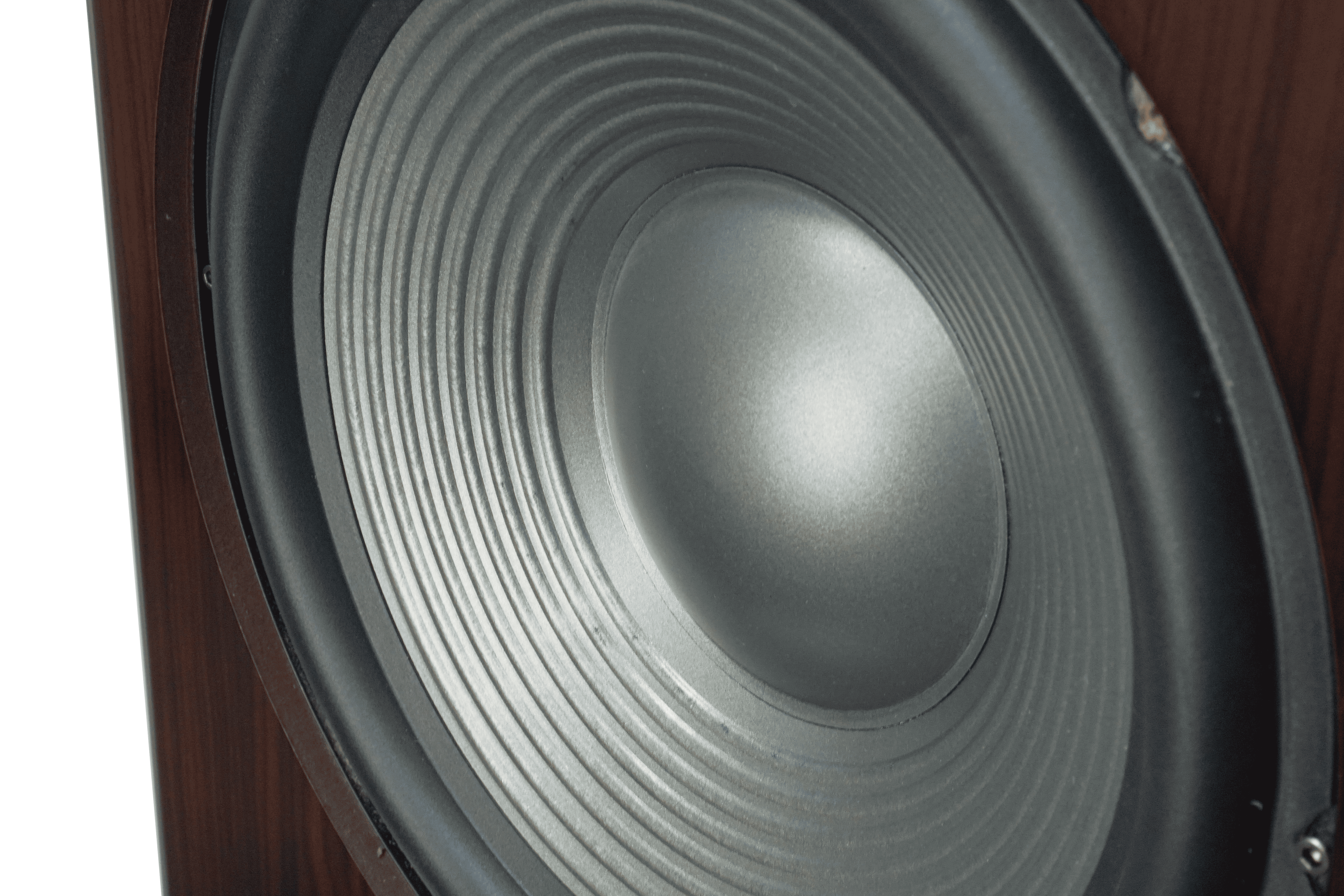 Loa Subwoofer CAVS TLS12