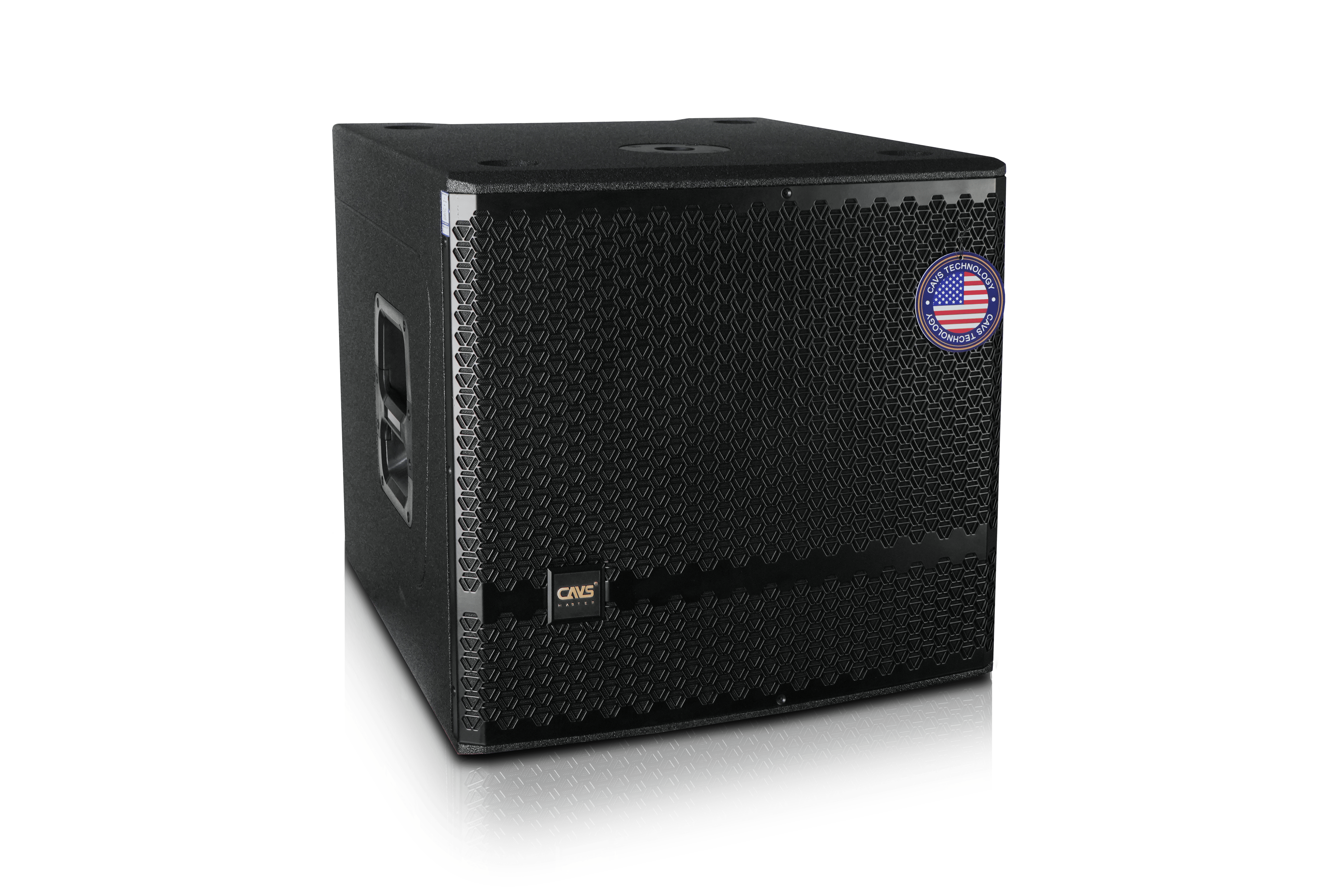 Loa Subwoofer ZS115 Master