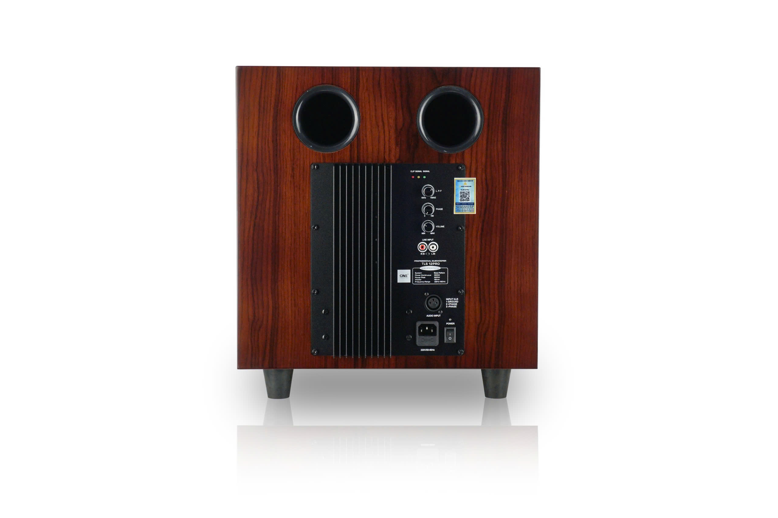 Công suất 300W – 600W của loa sub active CAVS cho phòng 20–40m²